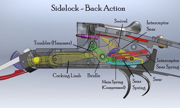 sidelock-cad-for-gazette_comp.jpg