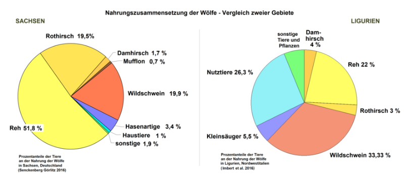 Nahrungszusammensetzung_Wolf_2.png