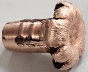 Hasler Ariete mushroom.jpg